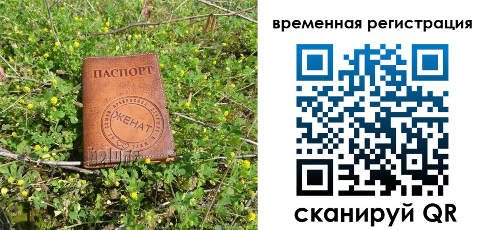 прописка регистрация в Киржаче
